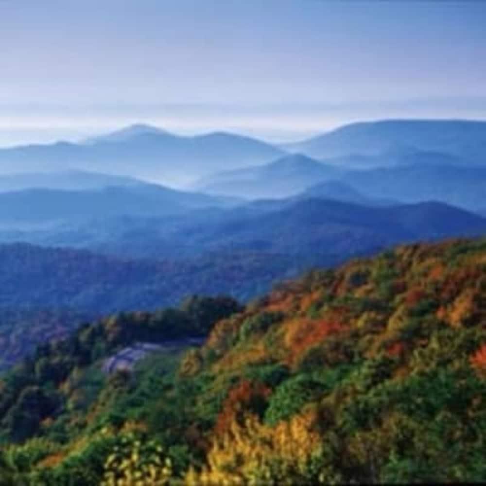 Biltmore Village Inn B&B Άσβιλ Εξωτερικό φωτογραφία